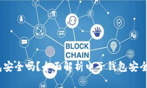 Electrum钱包安全吗？全面解析电子钱包安全性与防护措施